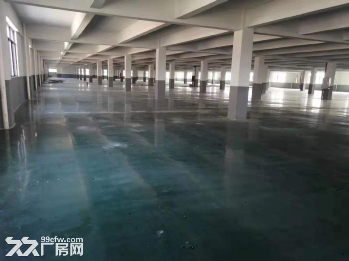 蓬江杜阮全新高标准厂房1−3楼总面积20000平方招租，可分租-图2