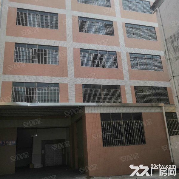 江门蓬江荷塘独院标准框架结构厂房4000平方招租，现成装修-图2
