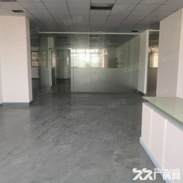 江门蓬江荷塘独院标准框架结构厂房4000平方招租，现成装修-图6