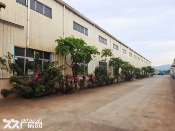 江门台山工业新城龙山路附近单一层厂房仓库1400平方出租-图5