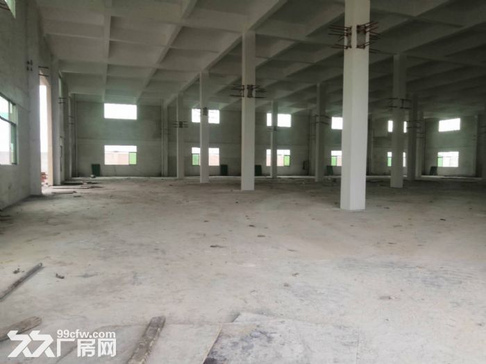 江门开平三类工业用地框架结构厂房1800平方招租-图2