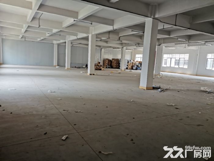 江海工业区大型工业园分租500−1000-图1