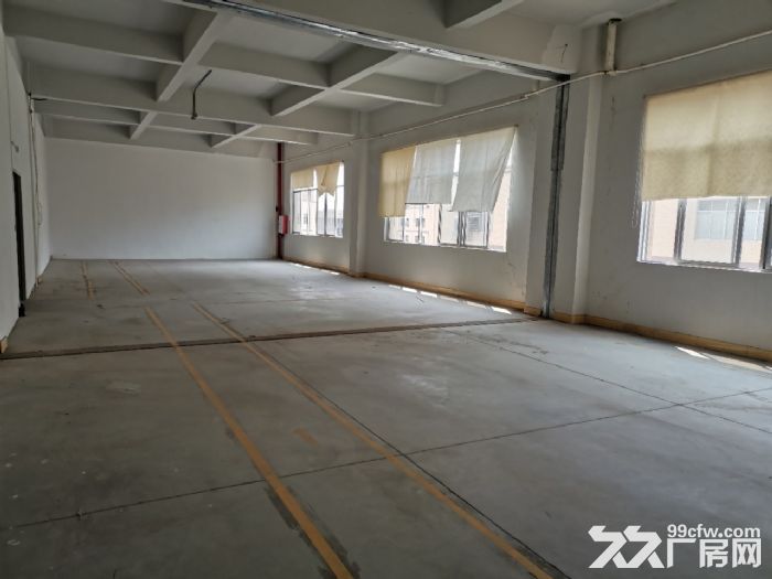 江海工业区大型工业园分租500−1000-图2