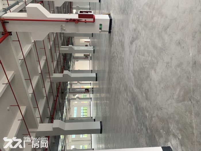 江海 标准厂房一楼7米，带牛角-图3