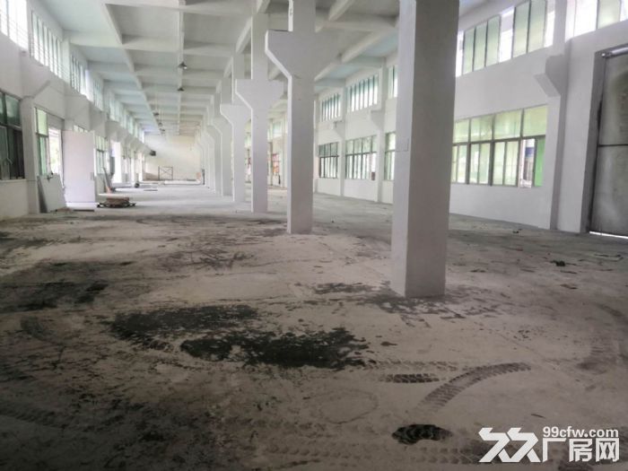 江门蓬江汽车站附近厂房物流仓库4000空地2000可分租-图4