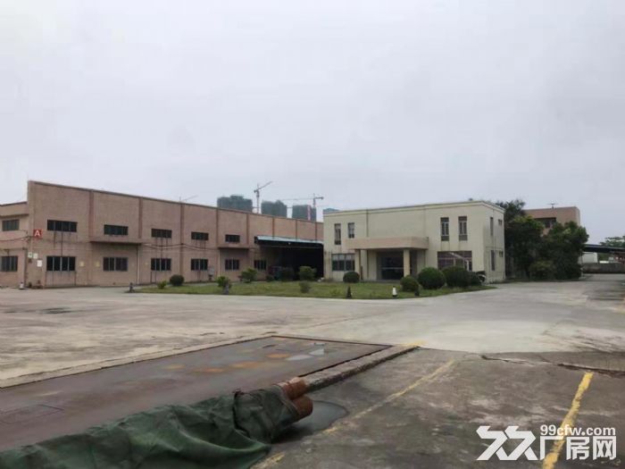 江门新会大泽独院单一层厂房2800平方招租-图1