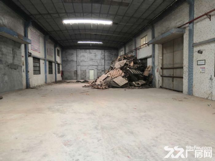 台山台城独院单一层简易厂房450平方招租，4000元一个月-图2