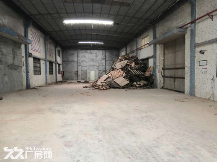台山台城独院单一层简易厂房450平方招租，4000元一个月-图1