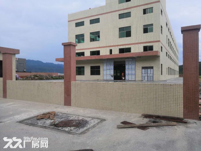开平月山独院电梯厂房一层1500平方租-图3