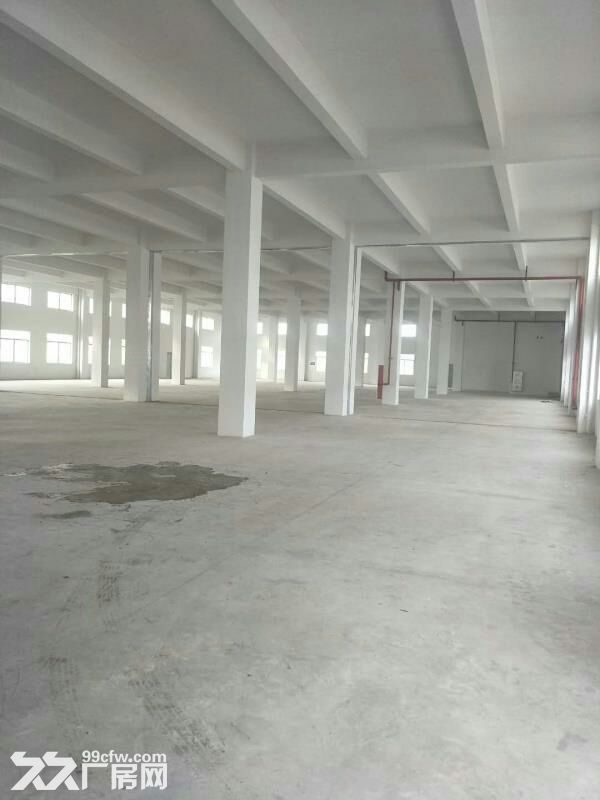 专业代理江门各区厂房招租-图2