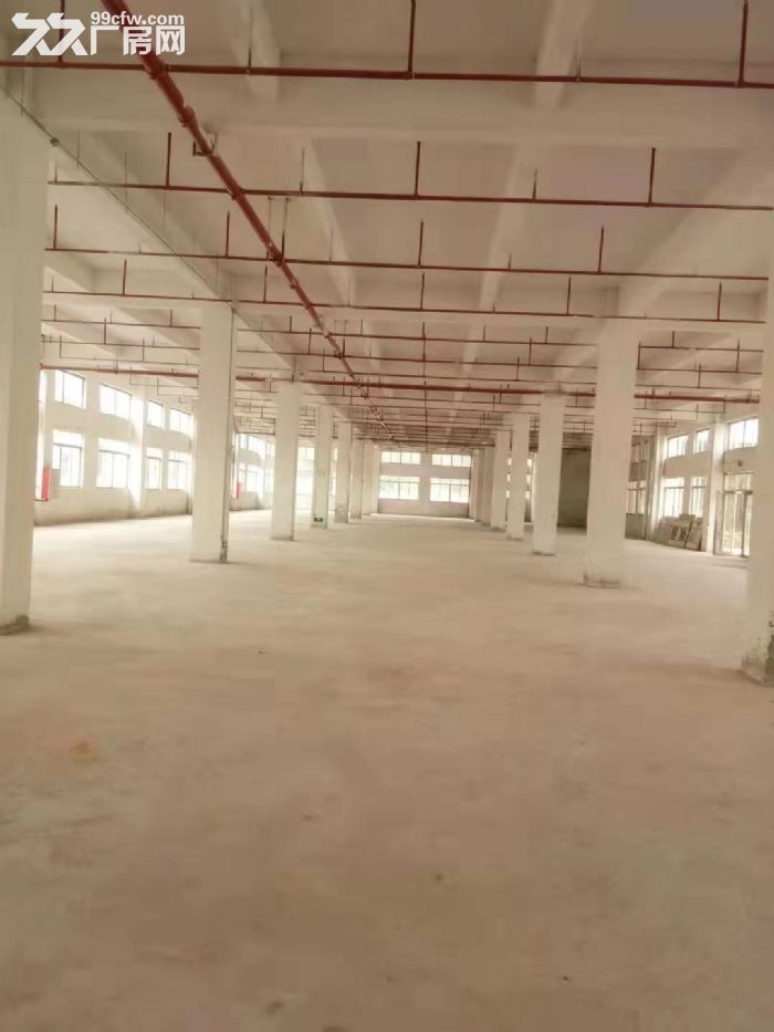 台山水步工业新城标准厂房2000平方招租，水电齐全消防合格-图5