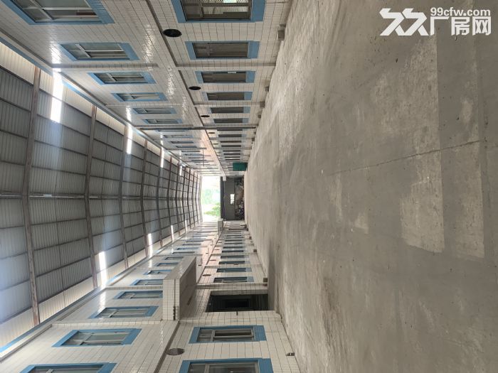 台山四九大型工业厂房出租-图1