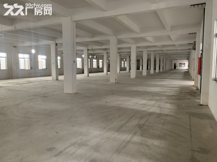台山四九大型工业厂房出租-图4
