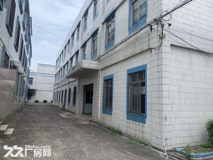 台山四九大型工业厂房出租-图5