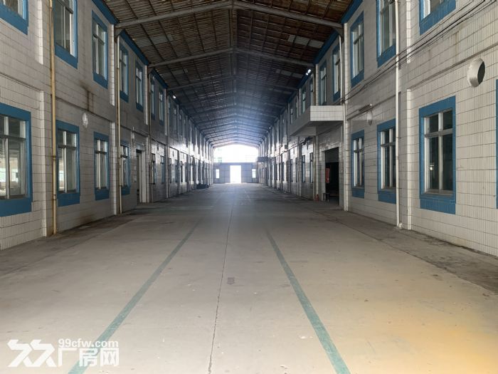 台山四九大型工业厂房出租-图6