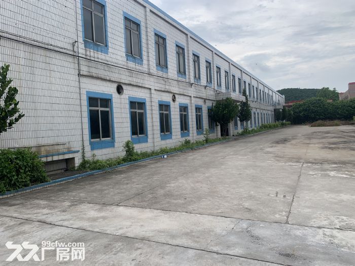 台山四九大型工业厂房出租-图7