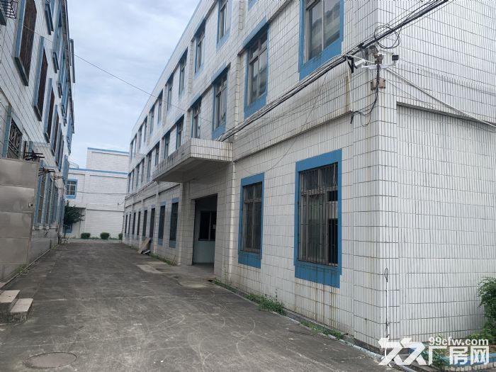 台山市四九镇50000平方厂房出租-图1