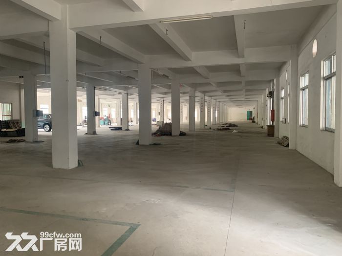 台山市四九镇50000平方厂房出租-图2