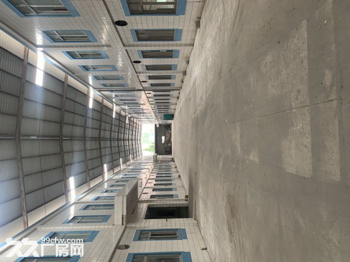 台山市四九镇50000平方厂房出租-图4