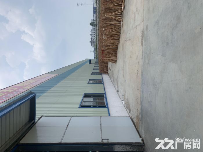 开平市苍城15400平方工业厂房出租-图2
