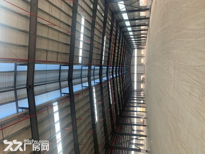 开平市苍城15400平方工业厂房出租-图5