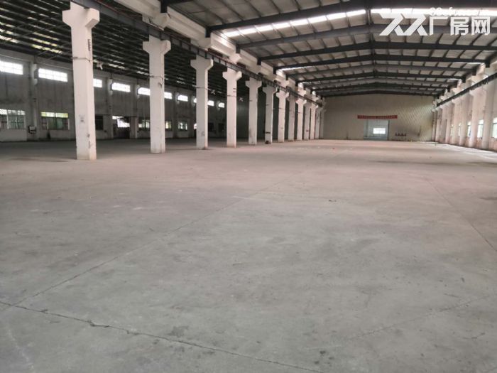 台山工业新城独院单一层厂房1000平方招租-图1