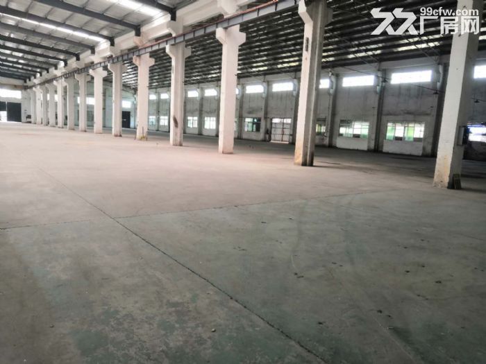 台山工业新城独院单一层厂房1000平方招租-图4
