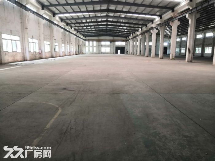 台山工业新城独院单一层厂房1000平方招租-图5