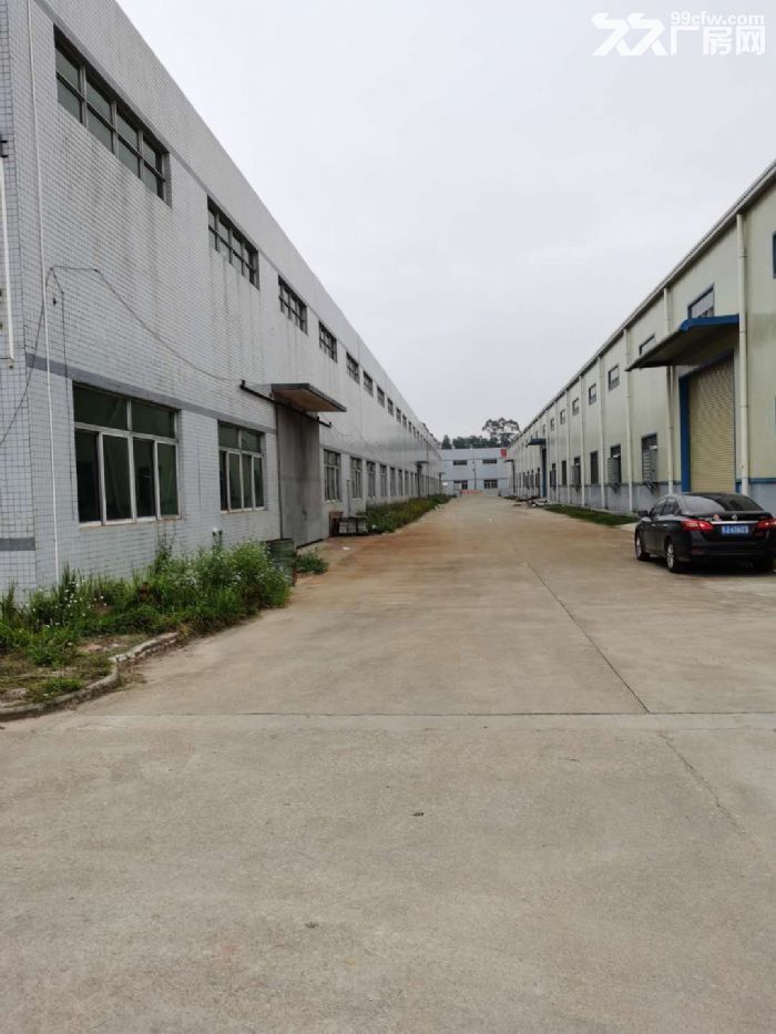 台山工业新城独院单一层厂房1000平方招租-图7