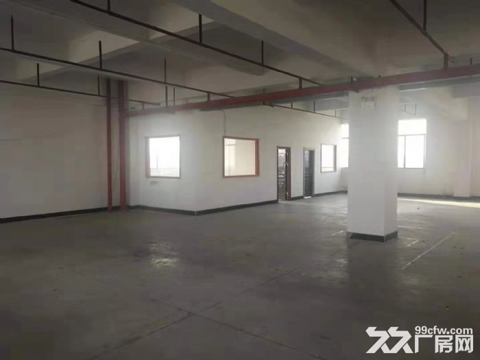 台山水步一标准厂房仓库600平方招租-图2
