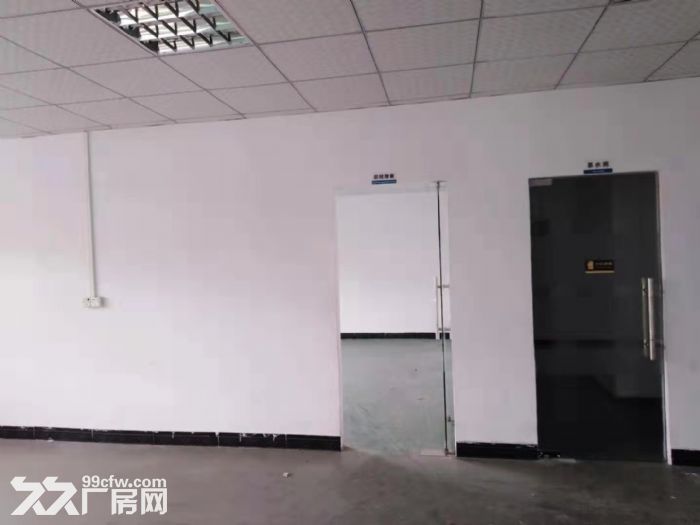 台山水步一标准厂房仓库600平方招租-图1