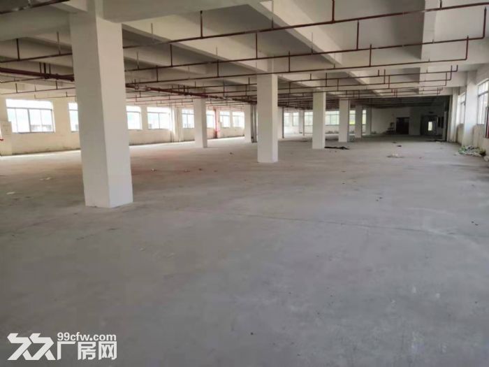 台山工业新城形像好空地大标准厂房2000平方招租-图1