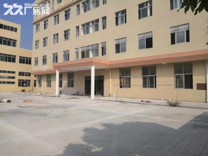 台山工业新城形像好空地大标准厂房2000平方招租-图2