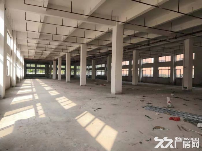 台山工业新城形像好空地大标准厂房2000平方招租-图4