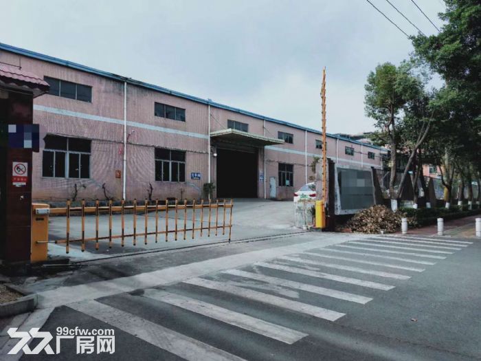 江门台山独院厂房仓库3000平方，空地3000平方招租-图2