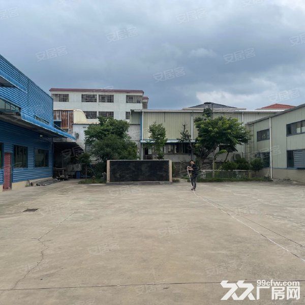 江门台山水步镇独院单一层厂房仓库4000，宿舍办公600出租-图3