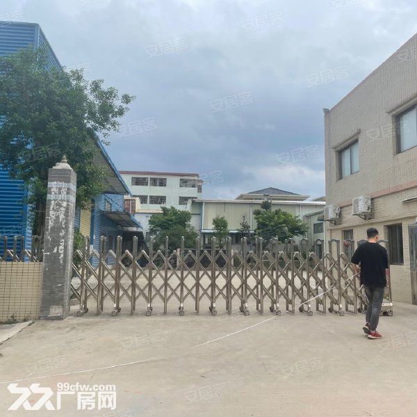 江门台山水步镇独院单一层厂房仓库4000，宿舍办公600出租-图5