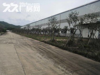江门台山长龙独院带行车厂房仓库10000平方出租可分租-图3