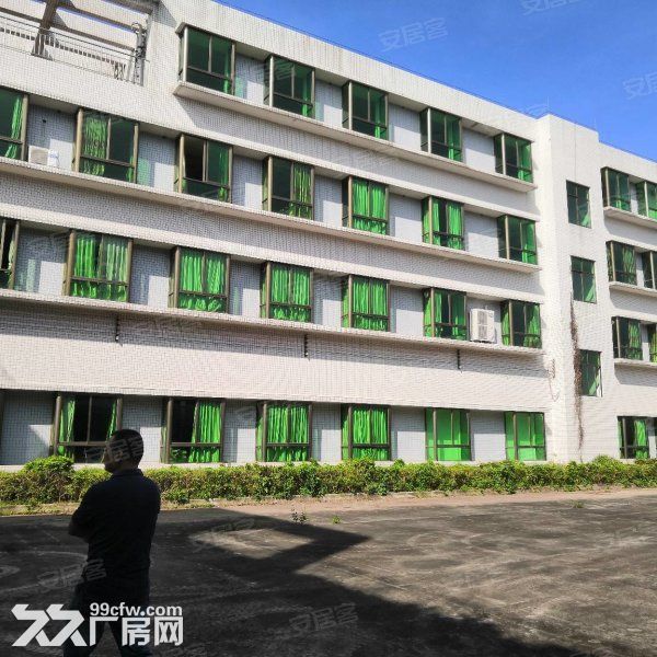 江门台山独院单一层带牛角12米高厂房20000平方招租-图7