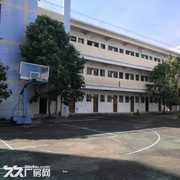 江门台山独院单一层带牛角12米高厂房20000平方招租-图6