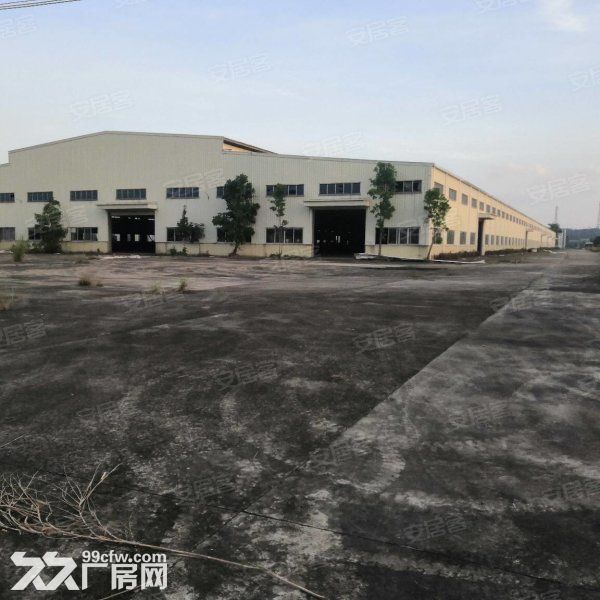 江门台山独院单一层带牛角12米高厂房20000平方招租-图2