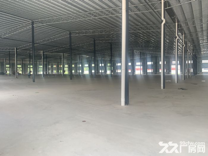 台山水步8000工业厂房出租-图1