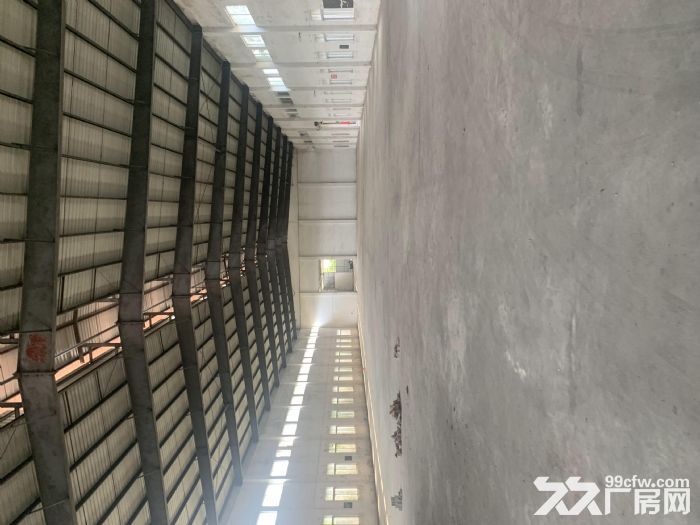 江门市开平市独门独院25000平方厂房出租-图5