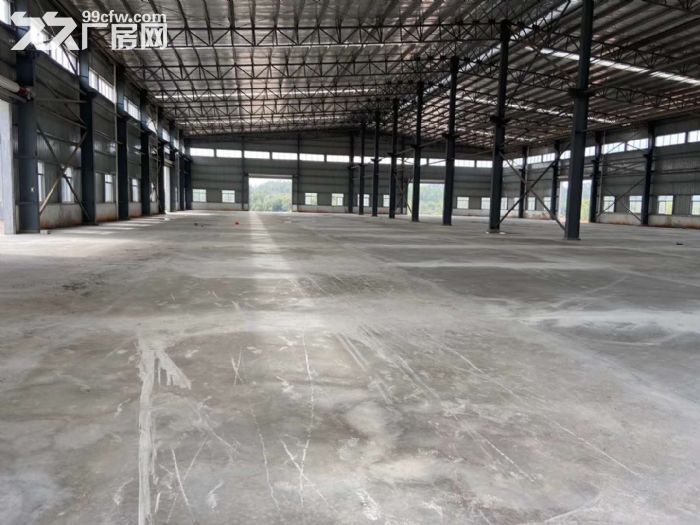 台山台城工业园独院单一层钢构厂房1800平方招租-图2