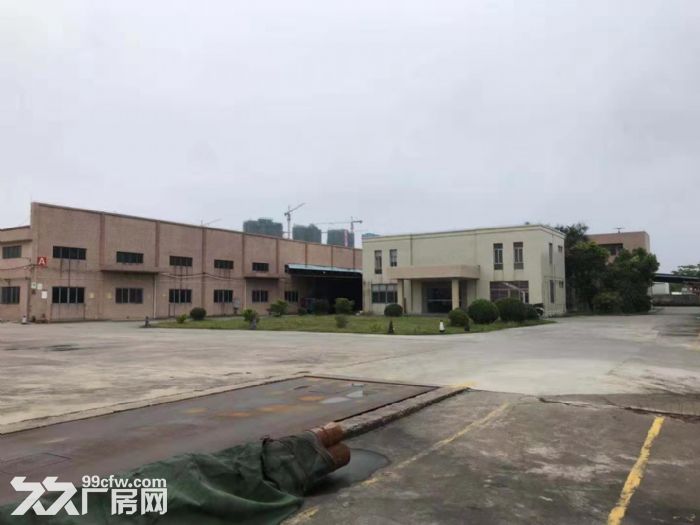 台山台城工业园独院单一层钢构厂房1800平方招租-图1