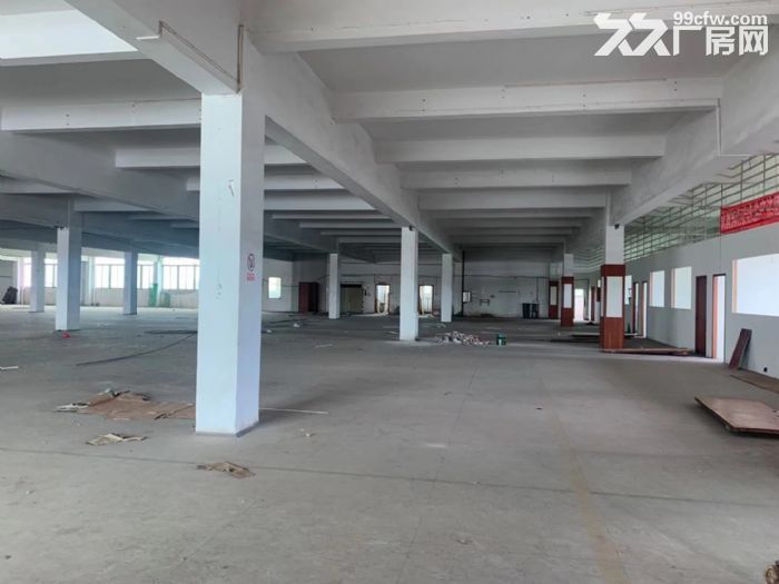 台山水步工业厂房出租-图1
