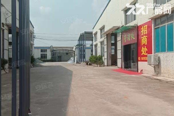 江门新会司前独院工业园厂房20000平方招租，可分栋出租-图2