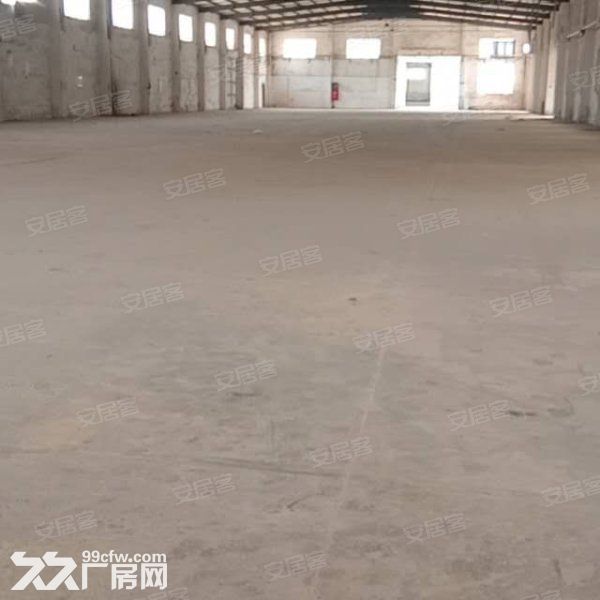 江门新会司前独院工业园厂房20000平方招租，可分栋出租-图4