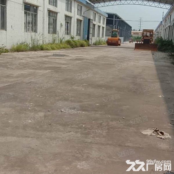 江门新会司前独院工业园厂房20000平方招租，可分栋出租-图5