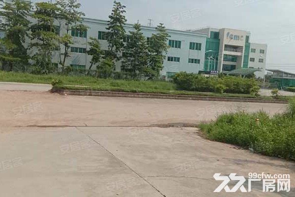 江门新会司前独院工业园厂房20000平方招租，可分栋出租-图6